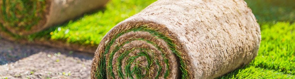 Vorbereitung für eine Grasinstallation in einem Garten. Naturrasen.