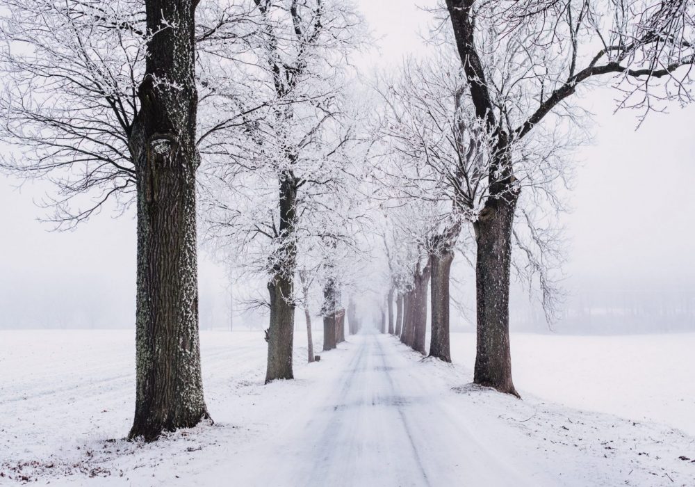 Winterdienst